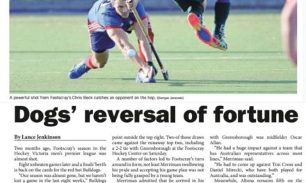 LEADER: DOGS REVERSAL OF FORTUNE