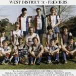 1985 PREMIERSHIPS