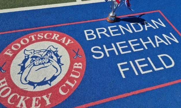 IN HONOUR OF BRENDAN SHEEHAN