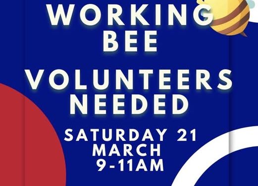 FHC 2026 Working Bee