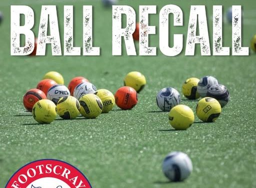 THE GREAT BALL RECALL 🏑