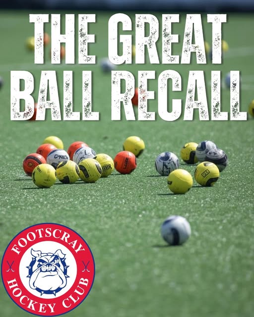 THE GREAT BALL RECALL 🏑