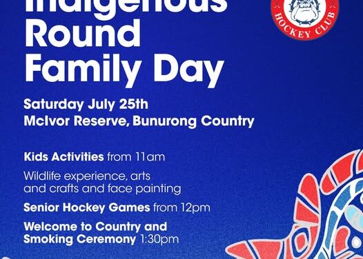 🌿 Indigenous Round Family Day – This Saturday! 🏑