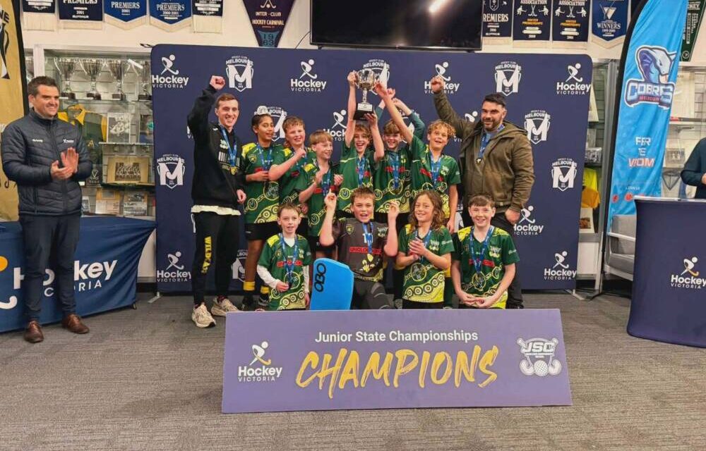 Wildcats U12 Wrap Up
