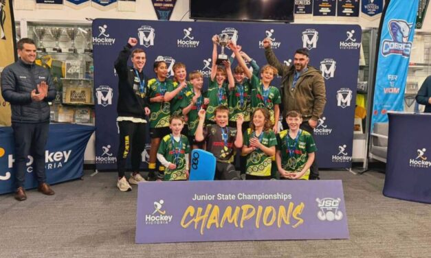 Wildcats U12 Wrap Up