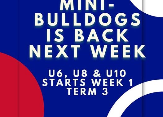 Mini Bulldogs is Back