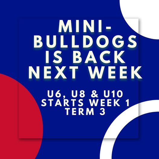Mini Bulldogs is Back
